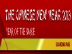 PROGRAMM CHINESE NEW YEAR, FREE OF CHARGE / GRATIS! 瑞士中国新年晚会